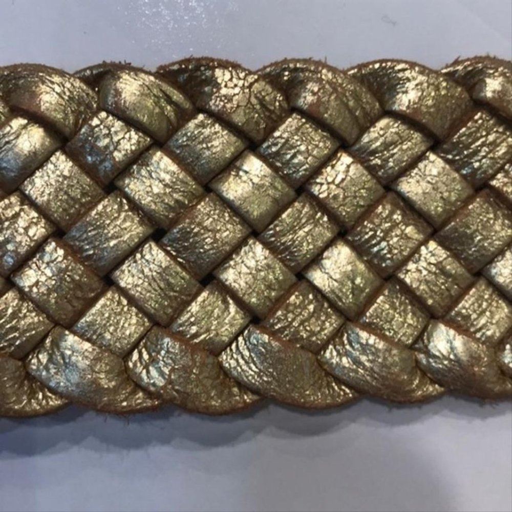Fossil Belt - Picture 7 of 8